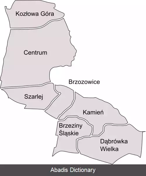 عکس پیکار شلانسکیه