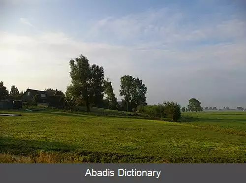 عکس دی دونک