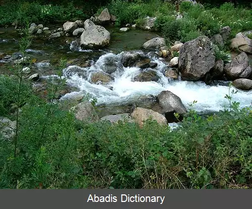 عکس آریژی
