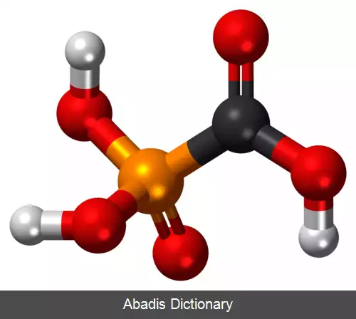 عکس فوسکارنت