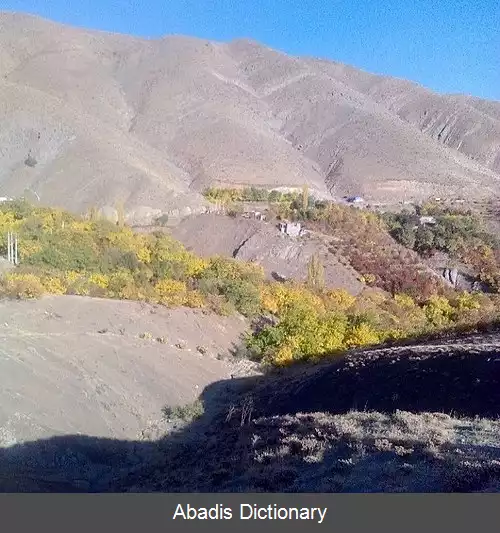عکس سفیداران