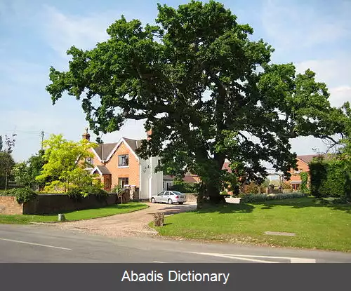 عکس فلافورد فلاول