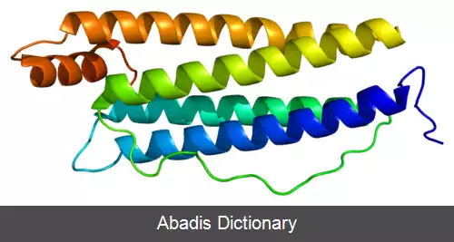 عکس زنجیره سبک فریتین