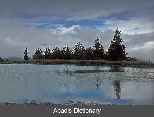 عکس آرس اسپانیا