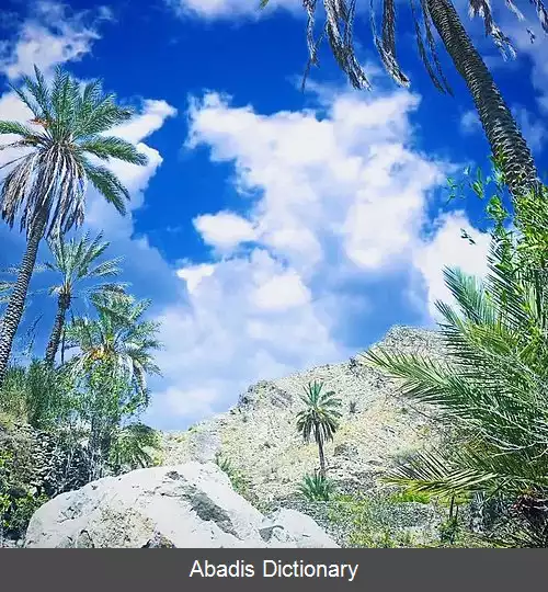 عکس درجک (بشاگرد)