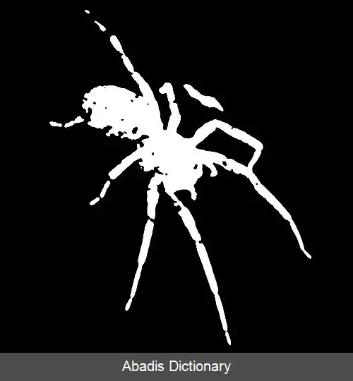 عکس آستانه گذاری هیستوگرام متقارن