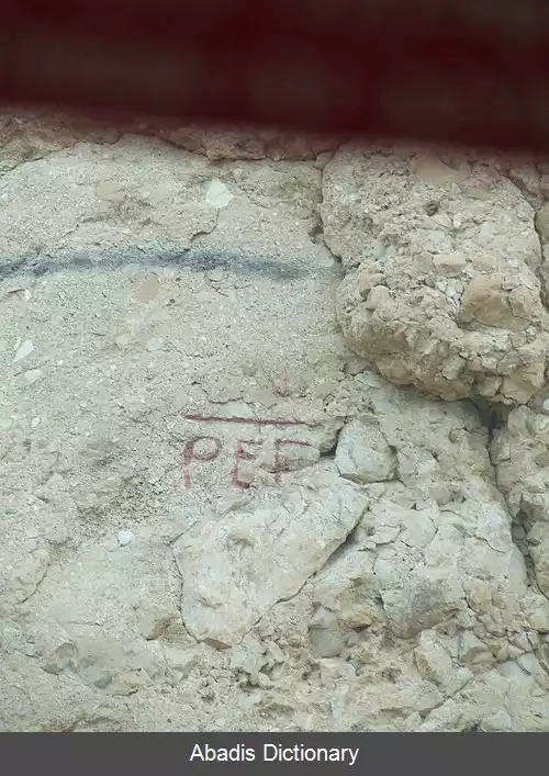 عکس عین فشخه