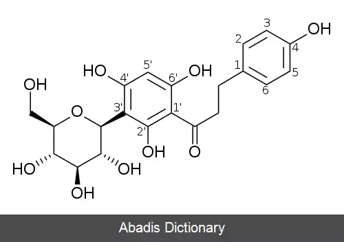 عکس نوتوفاگین