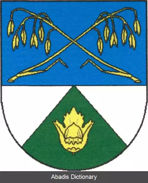 عکس بلیزکوو