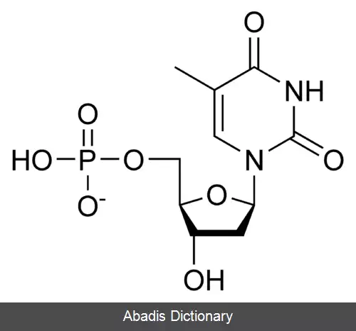 عکس تیمیدین مونوفسفات