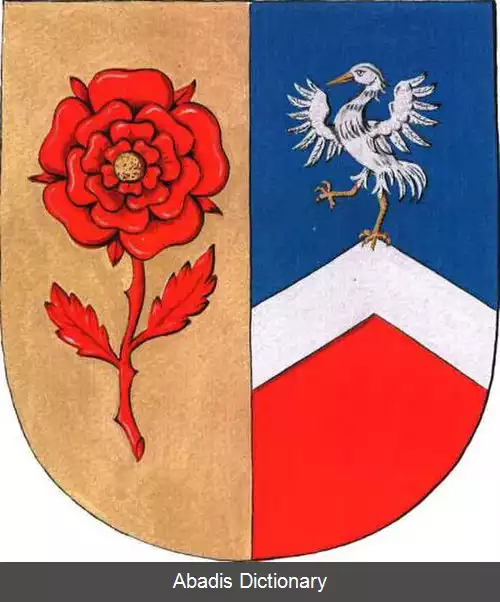 عکس دشوو