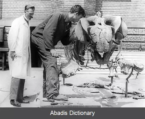 عکس فریدریچ ون هونه