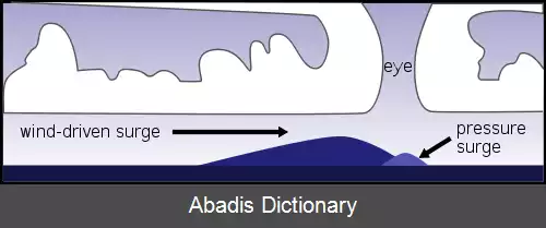 عکس فرگشت ساحل