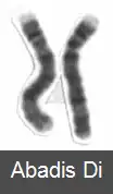 عکس کروموزوم ۴ (انسان)