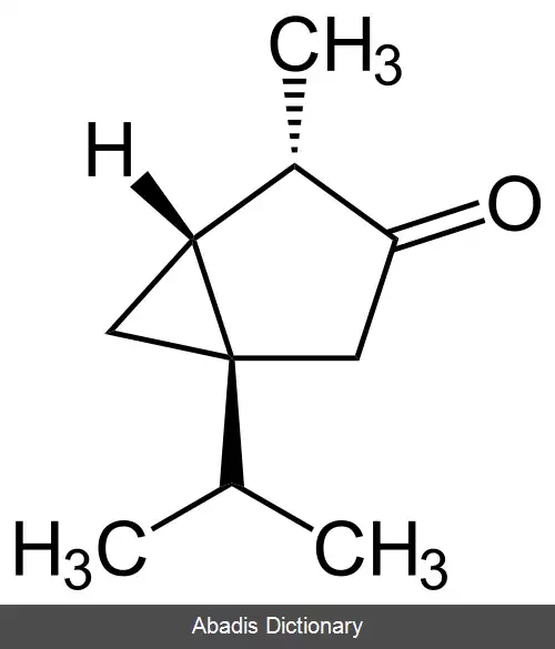 عکس توژون