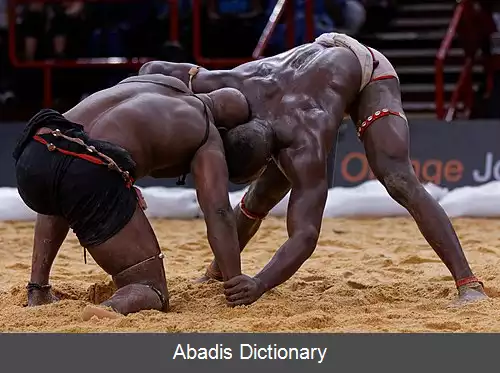 عکس کشتی سنگالی