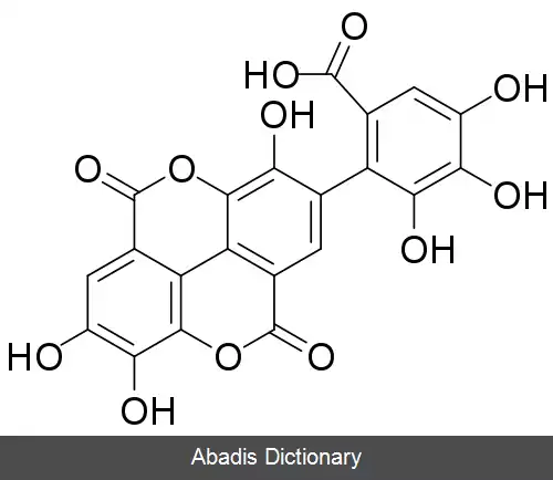 عکس فلاگونالوئیک اسید دیلاکتون