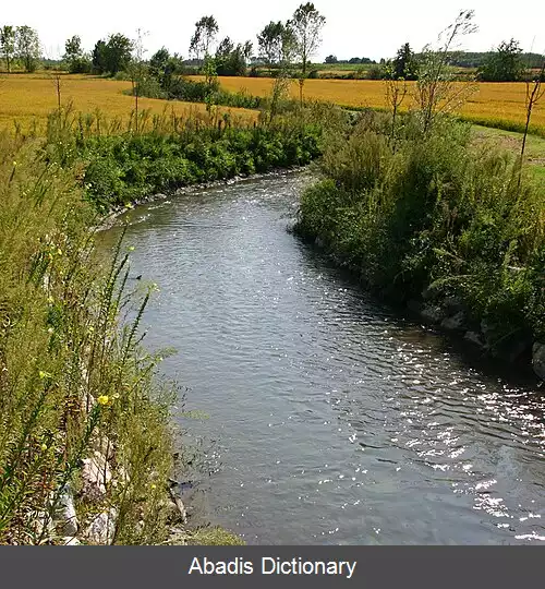 عکس اربونون