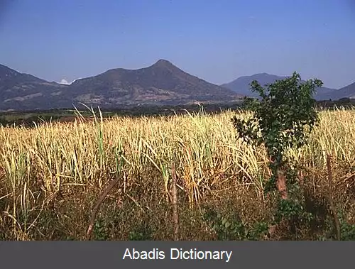 عکس فهرست آتشفشان های السالوادور