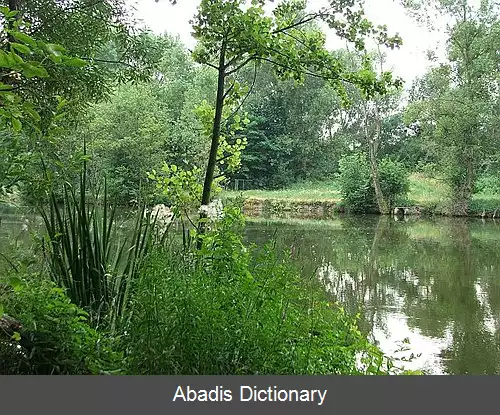 عکس رودخانه هرون