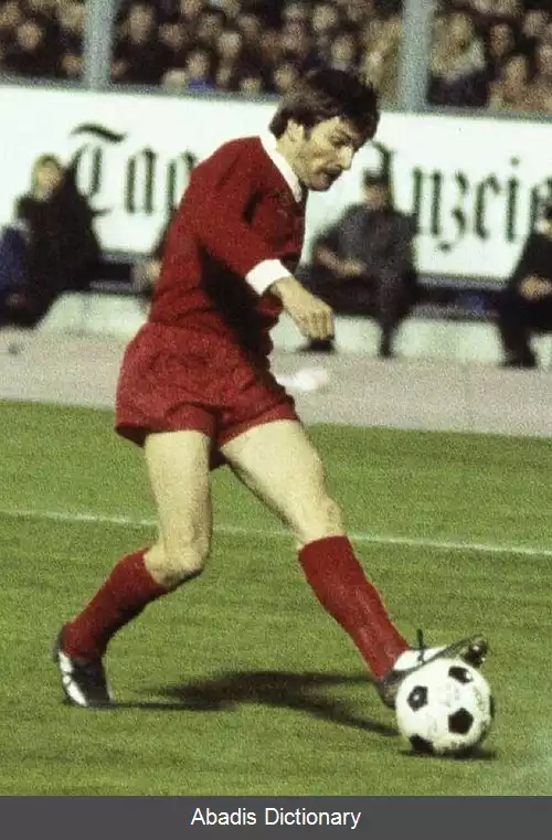 عکس استیو هیوی