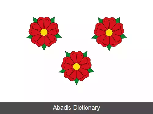 عکس رسس