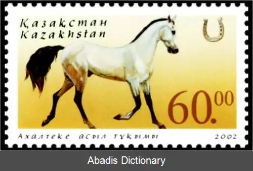 عکس اسب ترکمن