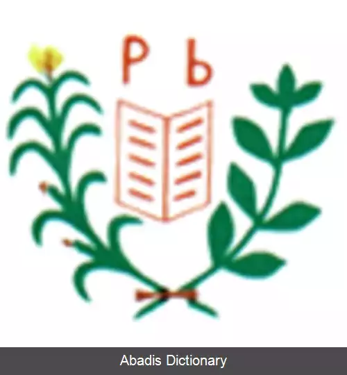 عکس بوکویرا