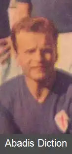 عکس ارنستو ویدال