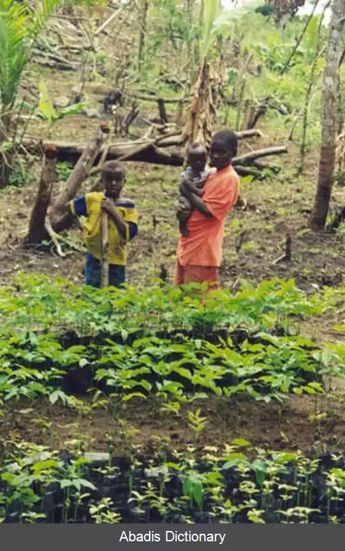 عکس استان گوکدو