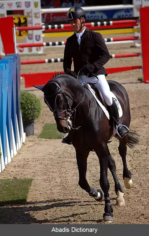 عکس فرنتس سنت ایرمائی