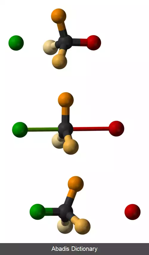 عکس وارونگی والدن