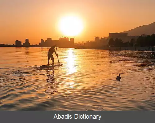 عکس پدل برد