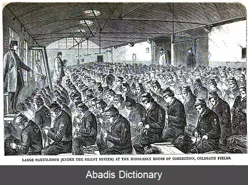 عکس کنف لایی