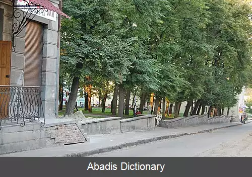 عکس دروهوبیچ