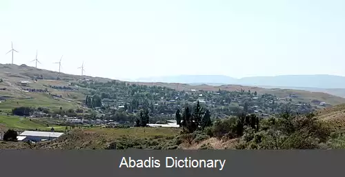 عکس آرلینگتن اورگن