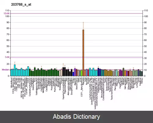 عکس استروئید سولفاتاز