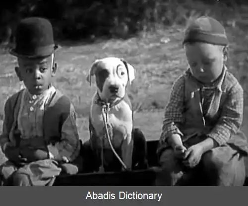 عکس پیت د پاپ