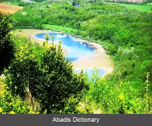 عکس کنزیو