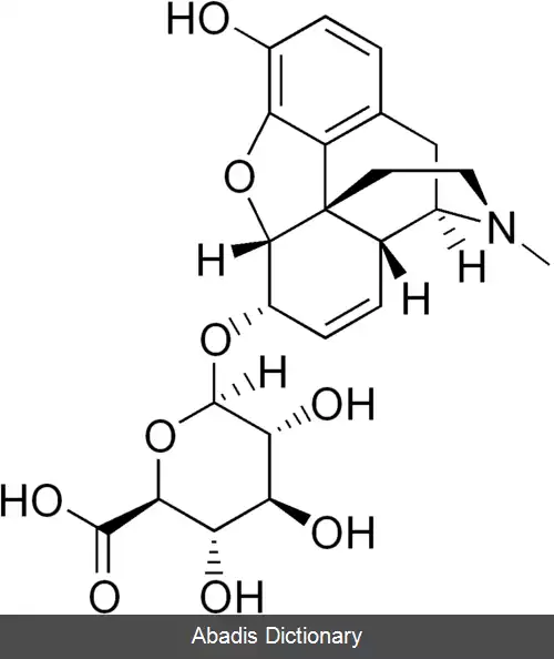 عکس گلوکورونید