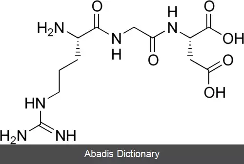 عکس آرجینی گلی کیلاسپارتیک اسید