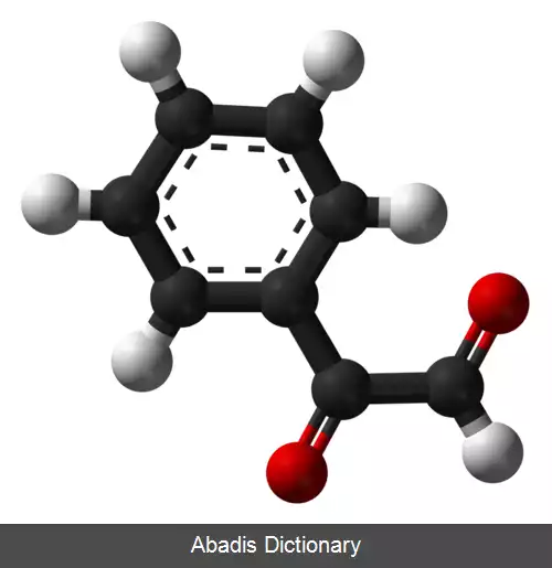 عکس فنیل گلی اکسال