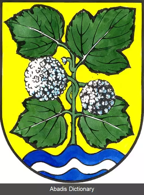 عکس زویکووتس