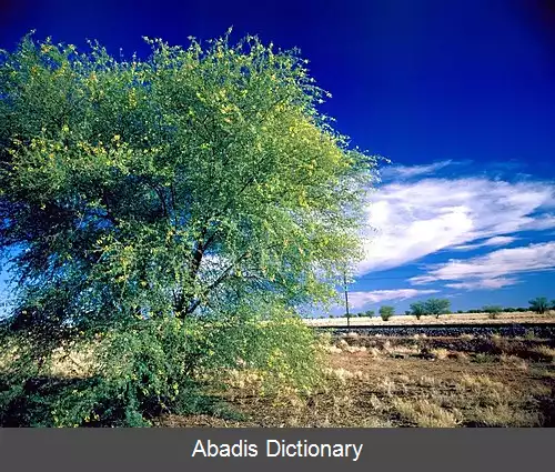 عکس ریچموند کوئینزلند