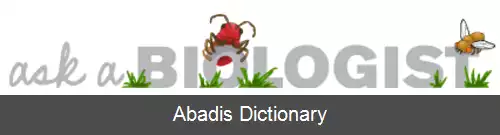 عکس از زیست شناس بپرس