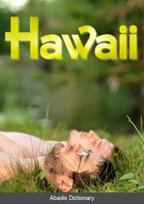 عکس هاوایی (فیلم ۲۰۱۳)