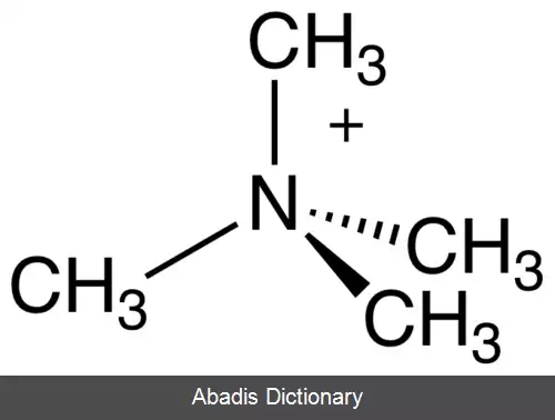 عکس تترامتیل آمونیوم