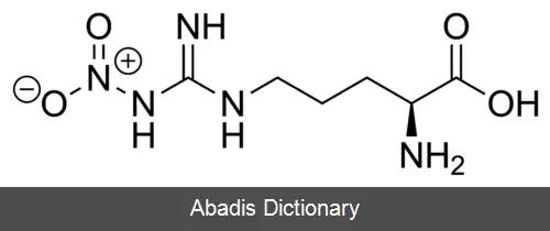 عکس نیتروارگینین