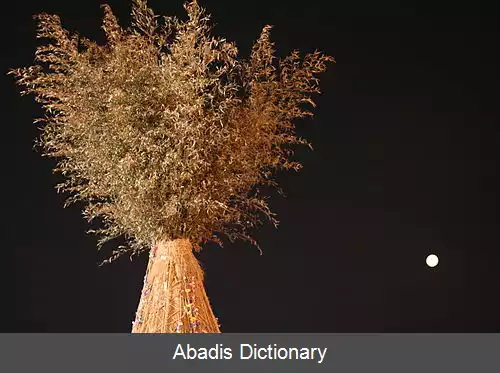 عکس دبروم
