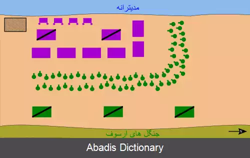 عکس نبرد آرسوف